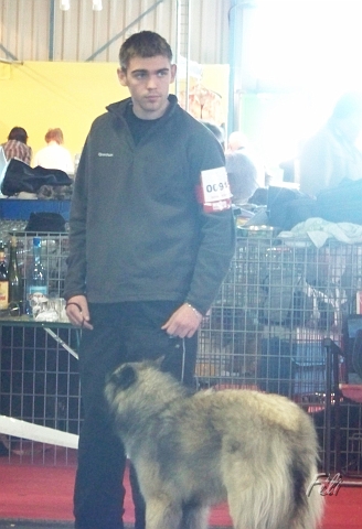 n°94 Chentyt des loups de la foret sacrée 5424.JPG